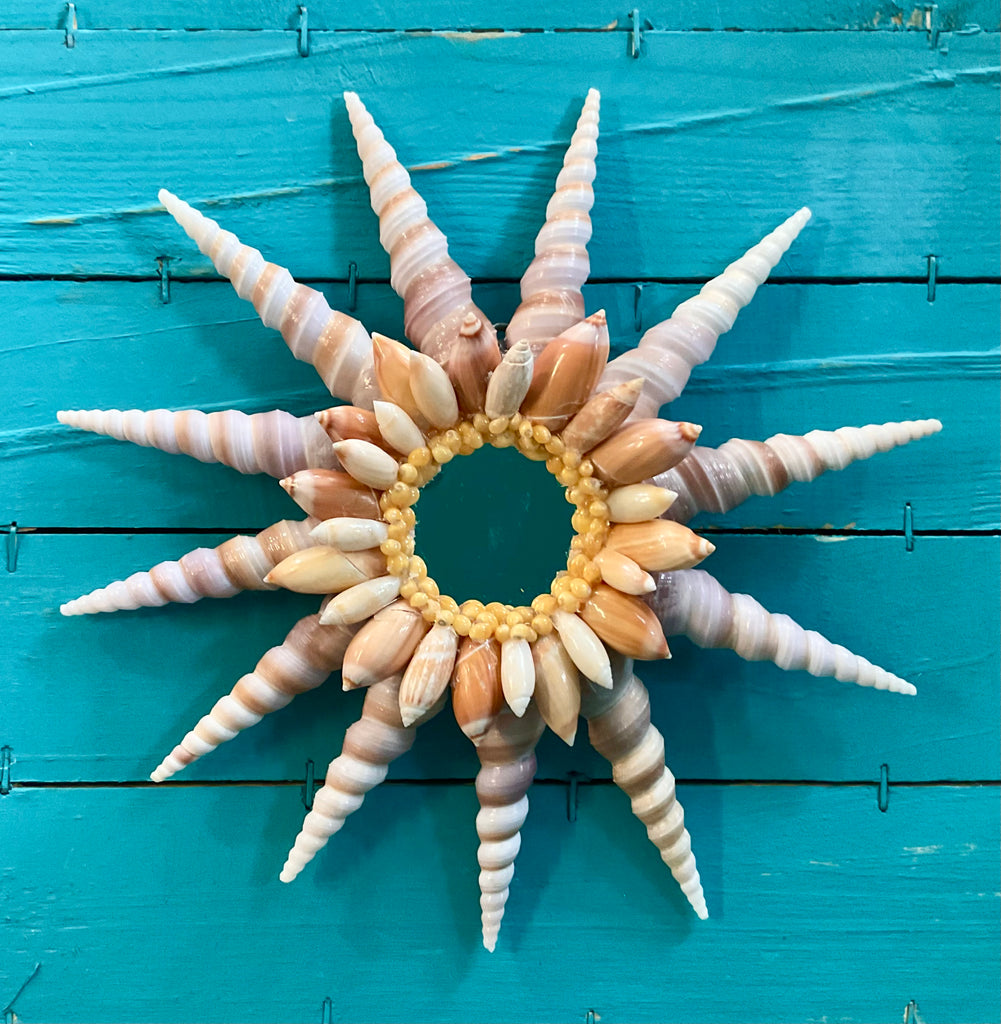Seashell Sunshine Wall Art