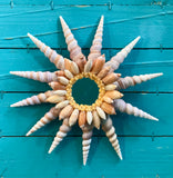 Seashell Sunshine Wall Art