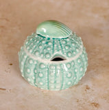 Sea Urchin Cream or Sugar