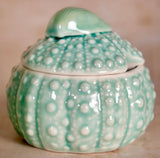 Sea Urchin Cream or Sugar