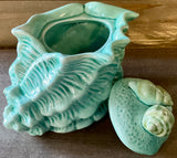 Murex Seashell Cream or Sugar