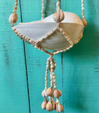 Seashell Plant Hanger