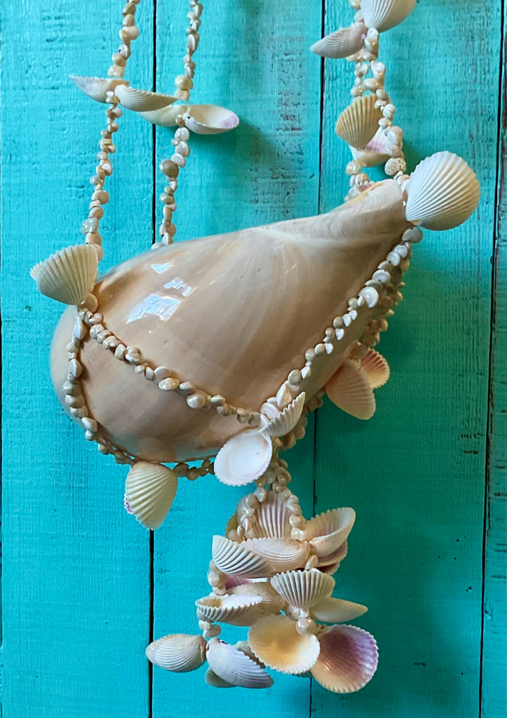 Seashell Plant Hanger