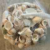 Bulk Shell Pack