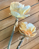 Jingle Shell Rose