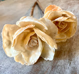 Jingle Shell Rose