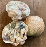 Bulk Shell Pack