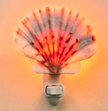 Irish Flat Scallop Shell Nightlight