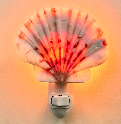 Irish Flat Scallop Shell Nightlight