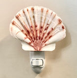 Irish Flat Scallop Shell Nightlight