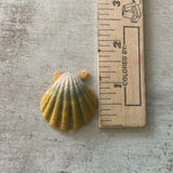Sunrise & Moonrise Shell