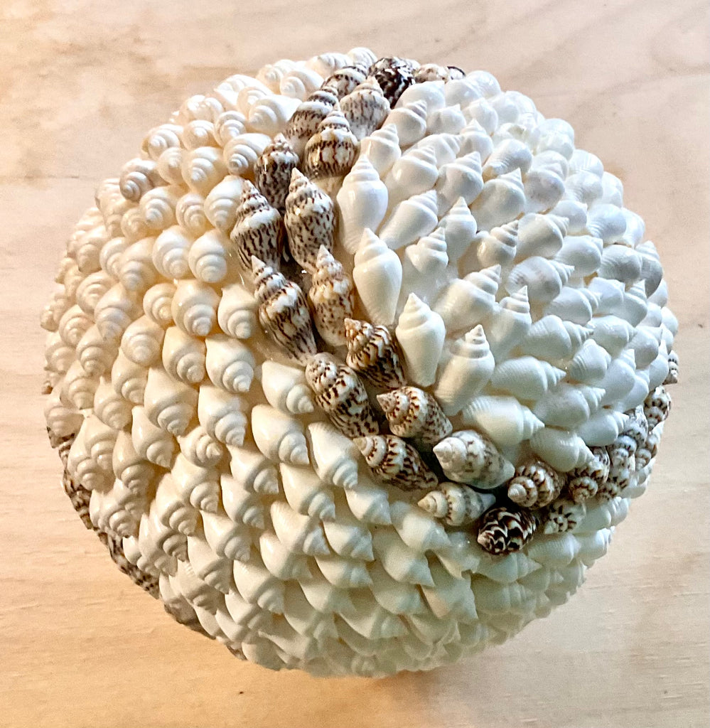 Seashell Decor Ball