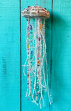 Alfonso Urchin Jellyfish