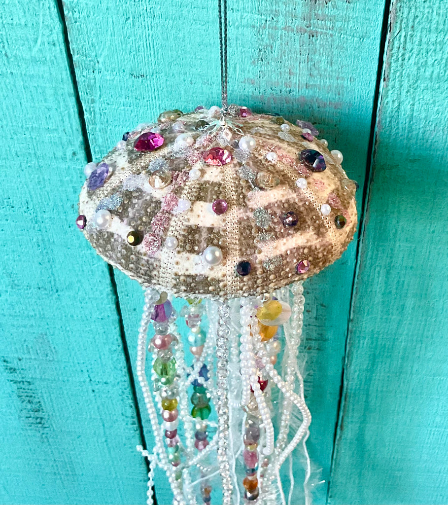 Alfonso Urchin Jellyfish