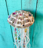 Alfonso Urchin Jellyfish