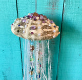 Alfonso Urchin Jellyfish