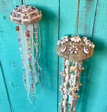 Alfonso Urchin Jellyfish