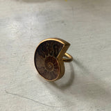 Fossil Ammonite Brass Ring