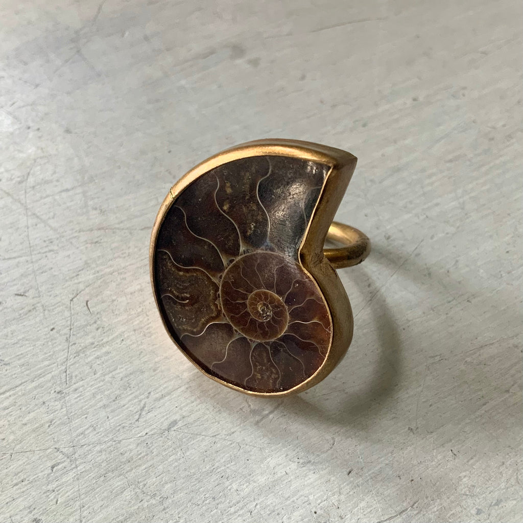 Fossil Ammonite Brass Ring Sea Things Ventura