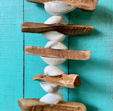 Driftwood White Clamshell Drop