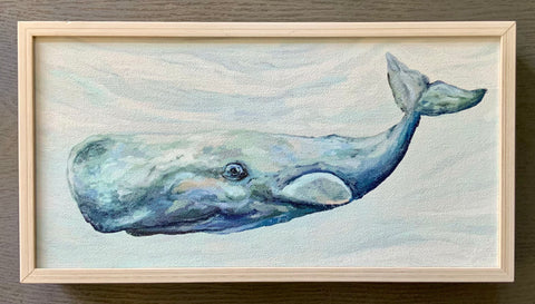 Sperm Whale Picture