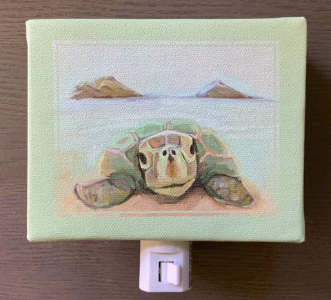 Turtle Love Canvas Nightlight
