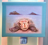 Turtle Love Canvas Nightlight