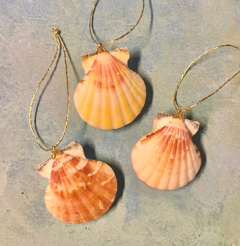 Mini Scallop Shell Ornament