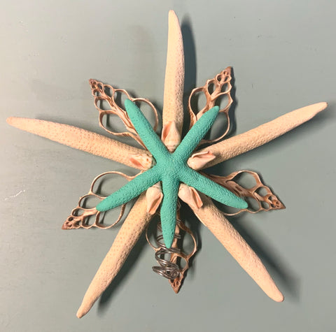 Seafoam Starfish Starfish Tree Top