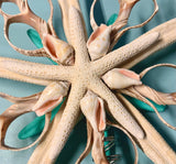 Seafoam Starfish Starfish Tree Top