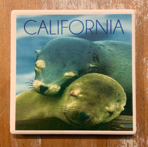 Sea Lion CA Coaster