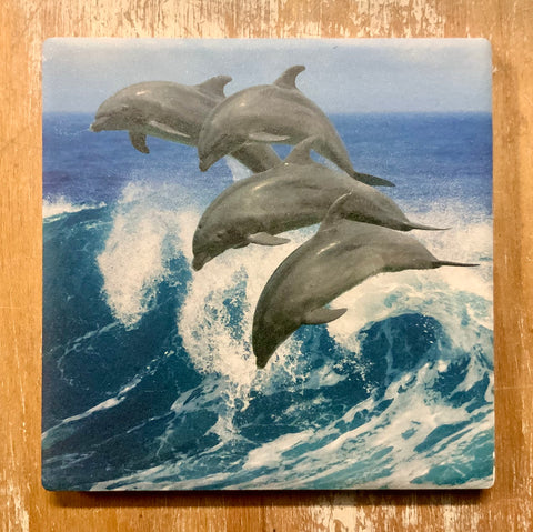 Leaping Dolphin Coaster