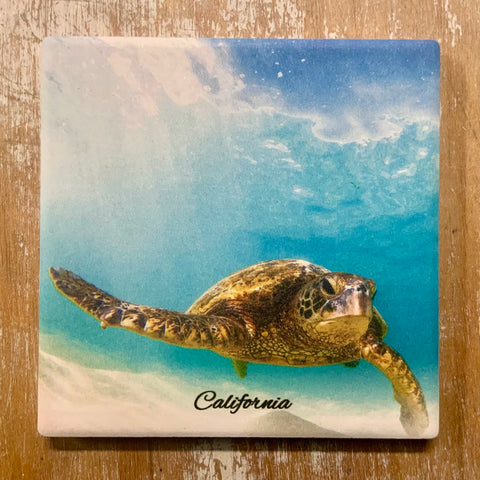 Sea Turtle CA Coaster