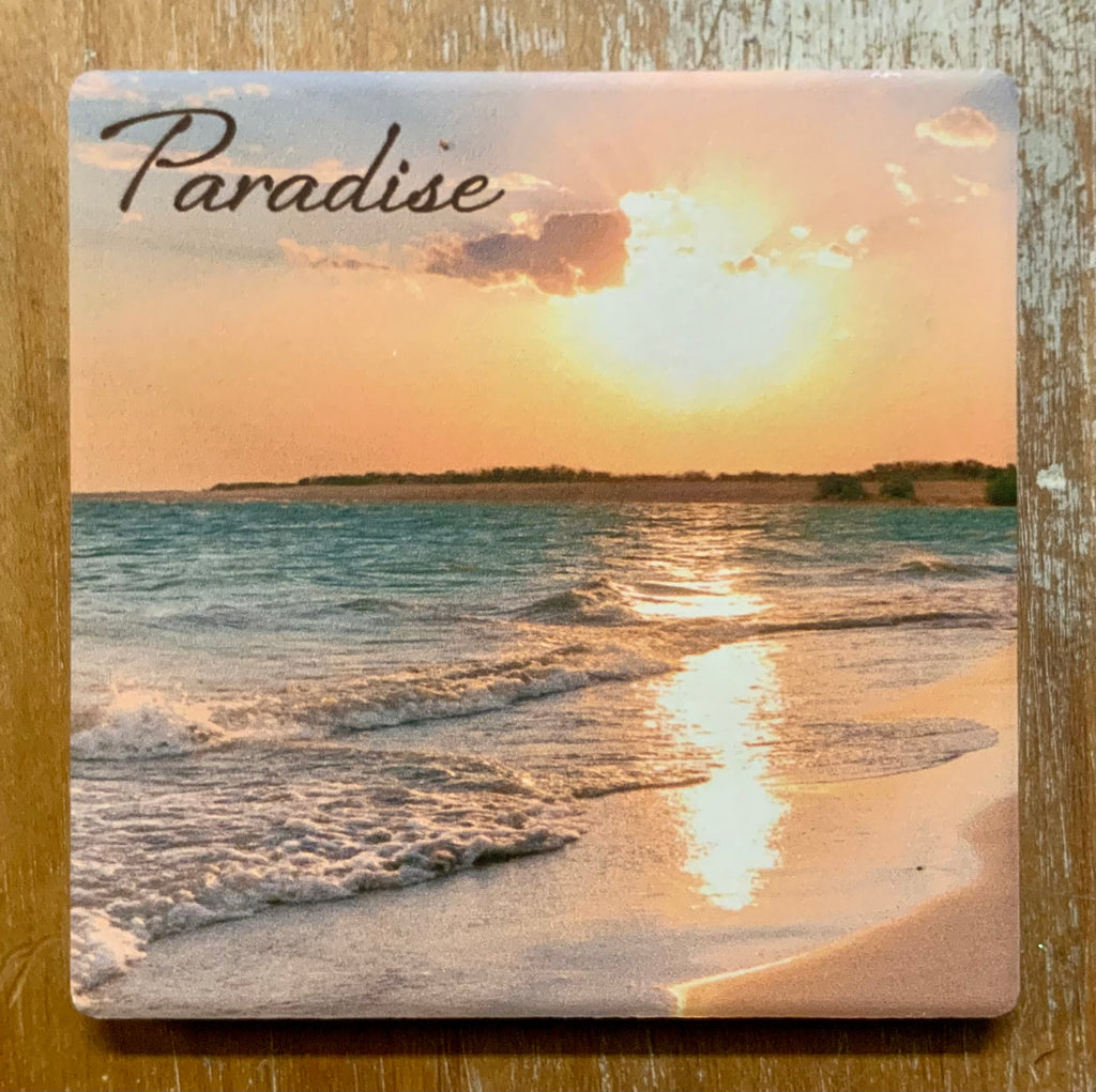 Paradise Beach Coaster