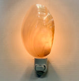 MOP Shell Nightlight