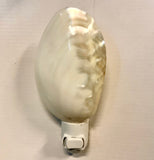 MOP Shell Nightlight