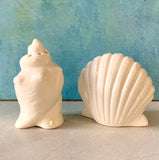 Scallop and Conch Salt & Pepper Set