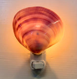 Purple Pacific Clamshell Nightlight