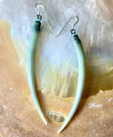 Dentalium Shell Earrings