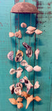 Coconut Rainbow Scallop Windchime