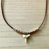 Fossil Shark Tooth Necklace
