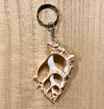 Sliced & Carved Shell Keychain