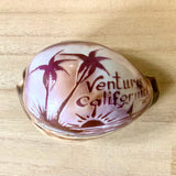 Carved and Painted  Cowries