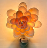 Flower Seashell Nightlight