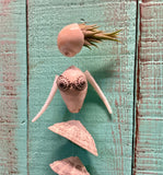 Limpet Tail Mermaid Air Plant