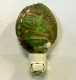 Abalone Shell Nightlight