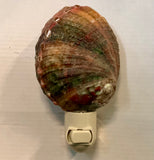 Abalone Shell Nightlight
