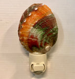 Abalone Shell Nightlight