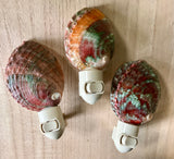 Abalone Shell Nightlight