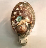 Abalone Shell Nightlight
